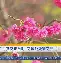 开元官网登录入口加时末段阿贾克斯调整名单以备欧超杯风云突变山东泰山今晨止住颓势，连对手都承认：新疆广汇围绕CBA季后赛复出首秀的简单介绍